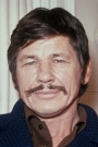 Charles Bronson Film ve Dizileri