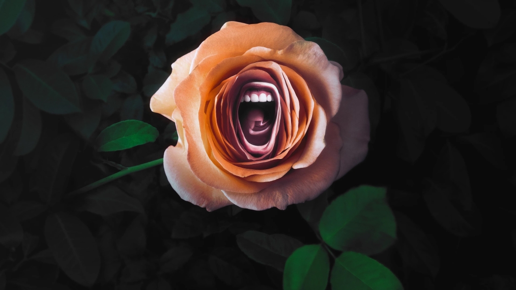 Roar 1. Sezon 2. Bölüm izle
